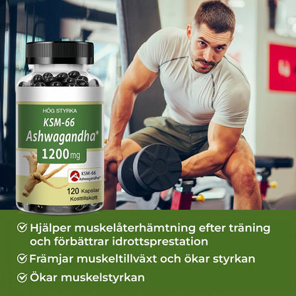 alt
Ashwagandha Premium 1200 mg - Gymfit