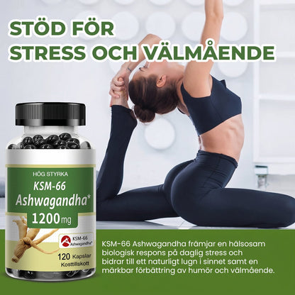 Ashwagandha Premium 1200 mg - Gymfit