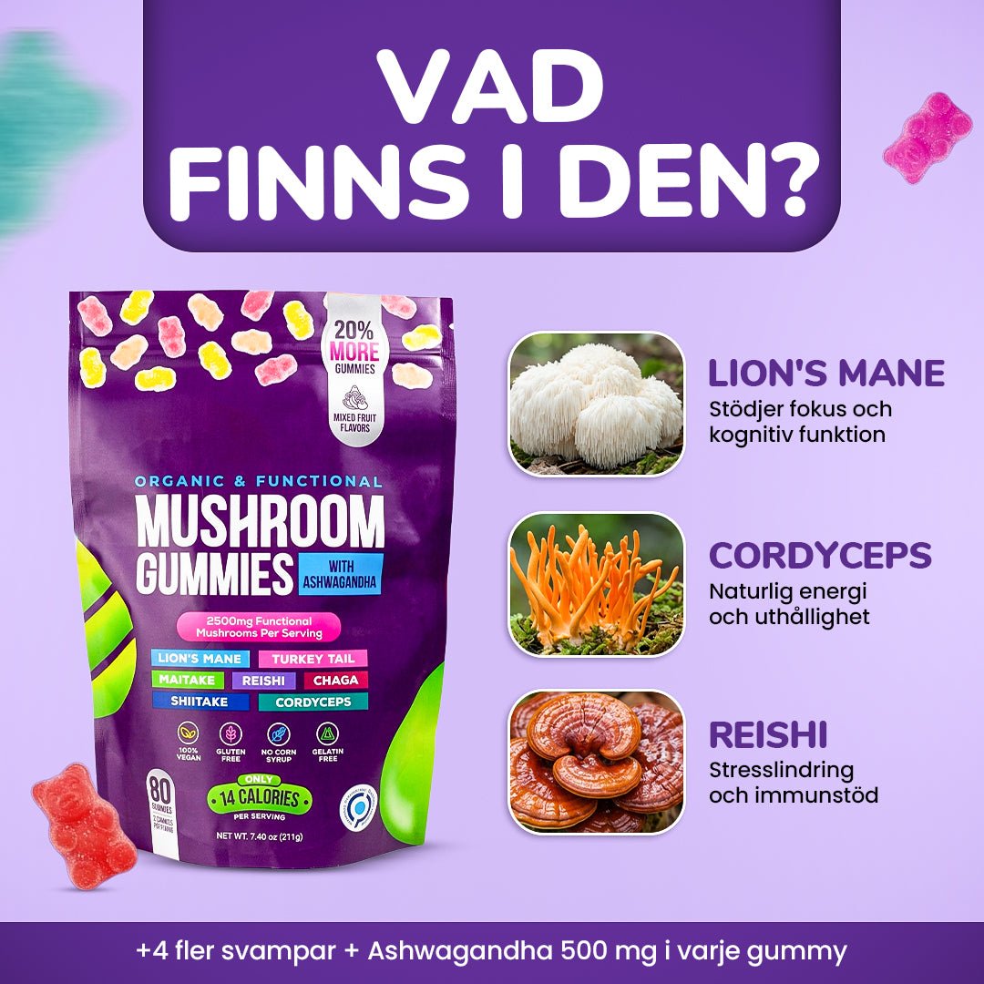 alt
Focus & Calm Mushroom Gummies – 2500mg med Lion’s Mane & Ashwagandha (80 stk) - Gymfit