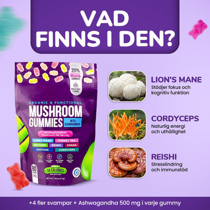 alt
Focus & Calm Mushroom Gummies – 2500mg med Lion’s Mane & Ashwagandha (80 stk) - Gymfit
