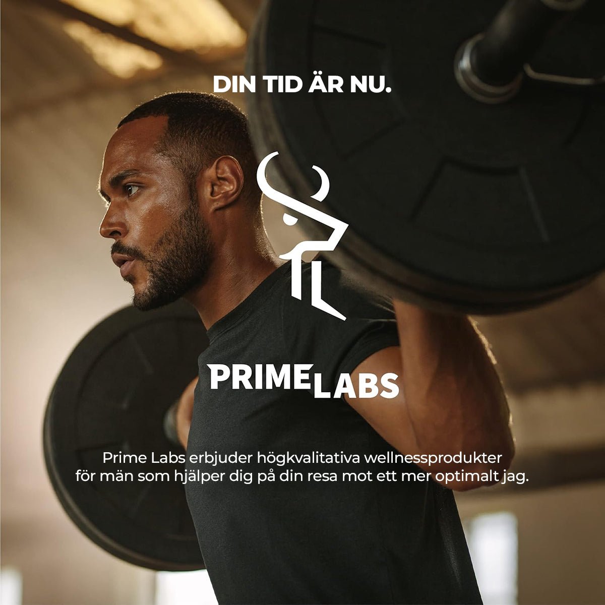 Prime Test - Gymfit