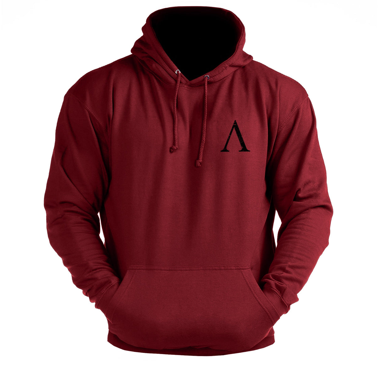 Spartan Forged V-logo - treningshettegenser - Gymfit