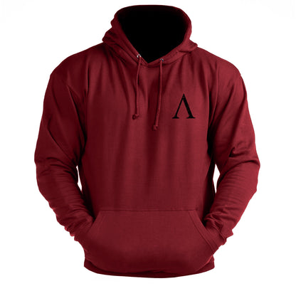 Spartan Forged V-logo - treningshettegenser - Gymfit