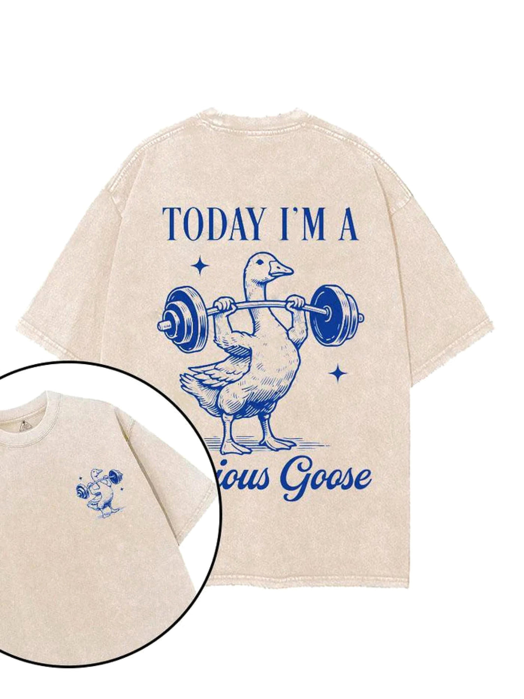 I DAG ER JEG EN SERIØS GÅS T-SKJORTE - Gymfit