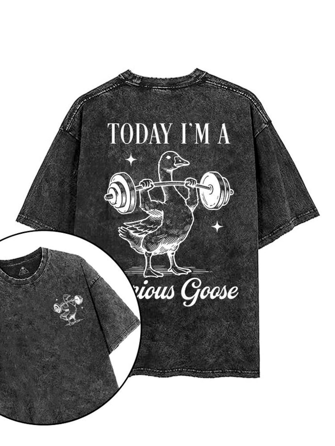 I DAG ER JEG EN ALVORLIG GÅS T-SKJORTE - Gymfit