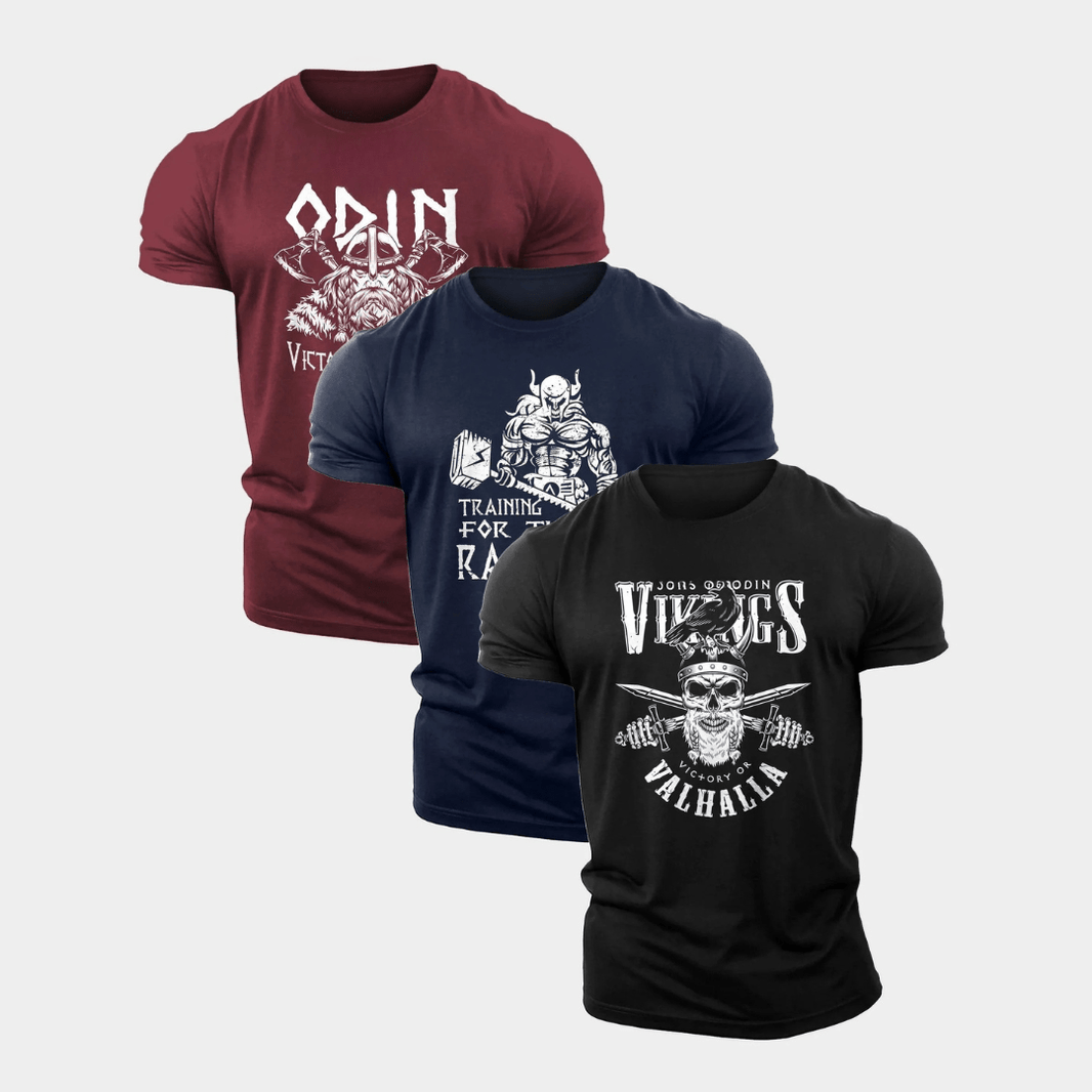 Valhalla Sons Of Odin Gym T-skjorte 3-pakning - Gymfit